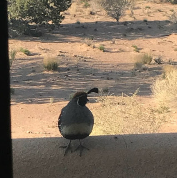 Meet your Posher, Karen - Picture 1 of 1